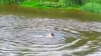 Пробежка по воде - смотреть видео (0:13)