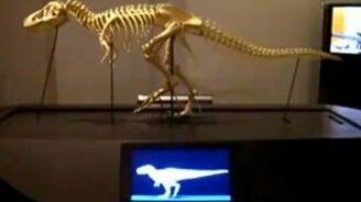 Живой динозавр - смотреть видео (0:19)