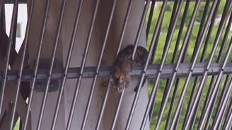 Будни европейских спасателей - смотреть видео (0:57)