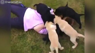Щенята атакуют людей - смотреть видео (1:01)