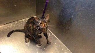 Больше не хочу купаться! - смотреть видео (0:33)