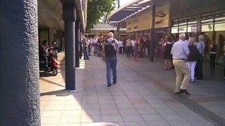 Парад гусей в Европе - смотреть видео (0:52)