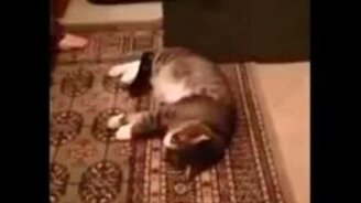 Гулять не пойду! - смотреть видео (3:27)