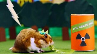 История про хомяка-монстра - смотреть видео (1:55)