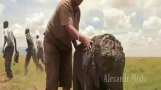 Спасаем животных - смотреть видео (5:54)