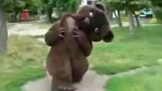 Медведь под действием наркоза - смотреть видео (0:47)