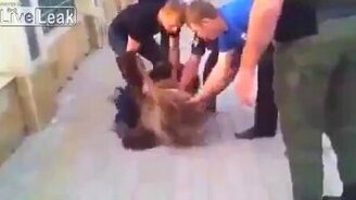 Поймали сбежавшего медведя - смотреть видео (0:26)