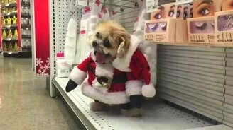 Санта Клаус с высунутым языком - смотреть видео (0:35)