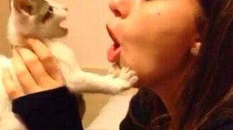 Играй с котёнком осторожно - смотреть видео (0:07)