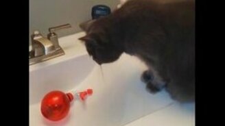 Долой пузырьки с раковины! - смотреть видео (0:34)