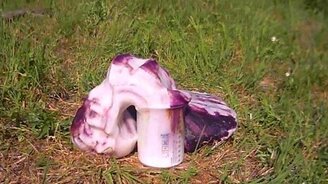 Как разлагается перекись водорода - смотреть видео (1:27)