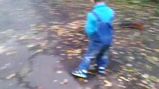 Бойкие белки в парке - смотреть видео (0:46)