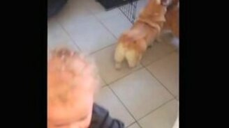 Малыш-помощник - радость маме! - смотреть видео (0:33)