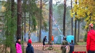 Дерево догнало лесоруба - смотреть видео (0:26)