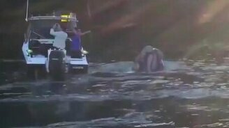 Рыбаки помогли киту - смотреть видео (0:47)