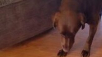 Нормальная реакция на маленькую неприятность - смотреть видео (0:21)