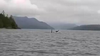 Каякеры встретили касаток - смотреть видео (1:39)