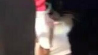 Ненавистница собак - смотреть видео (0:29)