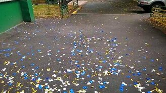 Аномалия или норма? - смотреть видео (0:09)