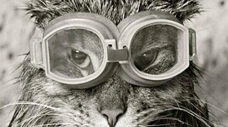 Бася-водолаз - смотреть видео (3:27)