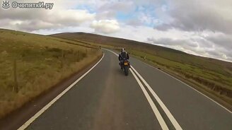 Бешеный таракан заснял свой триумф - смотреть видео (0:29)