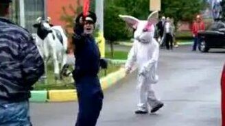 ГАИшник и кролик - смотреть видео (1:08)