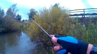 Сентябрьские зарисовки рыбака - смотреть видео (7:03)