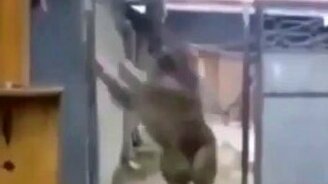 Кавказец против арабов - смотреть видео (0:15)