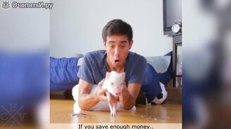 Ролики от волшебника видеомонтажа - смотреть видео (2:11)