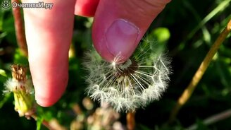 Магия обратной съёмки - смотреть видео (1:24)