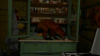 Лиса в гостях у бабушки - смотреть видео (1:07)