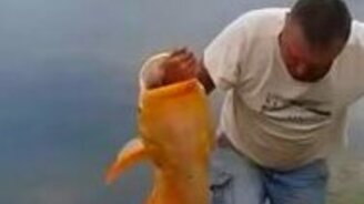 Огромный улов - смотреть видео (3:03)