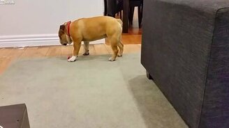 Копия меня после работы - смотреть видео (0:16)