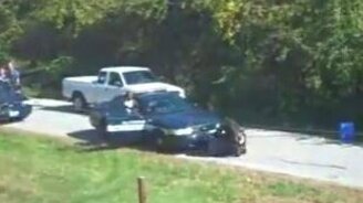 Своенравная горилла - смотреть видео (1:13)