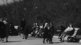 Долой пьяных и хулиганов! - смотреть видео (1:58)