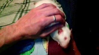 Квартира одинокого независимого мужчины - смотреть видео (2:58)