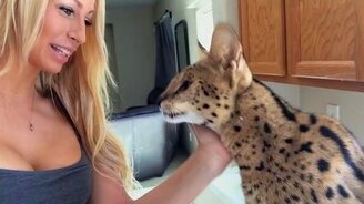 Котик возле хозяюшки - смотреть видео (0:33)