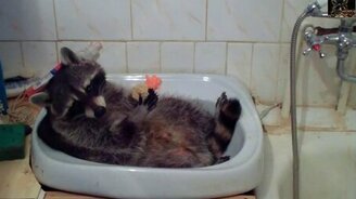 Помылся - можно и мыло съесть! - смотреть видео (3:58)