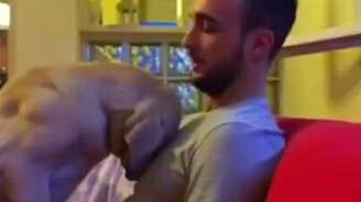 Пёс просит прощения - смотреть видео (1:31)