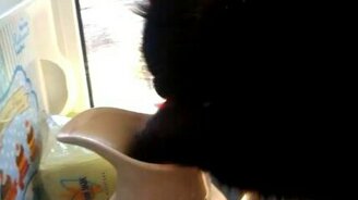 Кот пьёт из кувшина - смотреть видео (0:24)