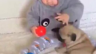 Малыш и щенок - смотреть видео (0:15)