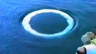 Воздушный привет от кита - смотреть видео (0:30)