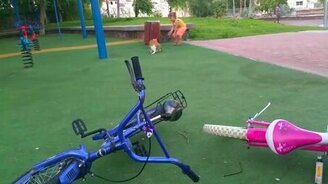 Кот мстит девочке - смотреть видео (0:10)