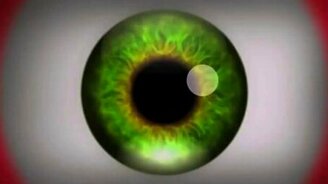 Смотри на экран, потом по сторонам - смотреть видео (2:03)