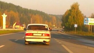 Мишка-пассажир - смотреть видео (0:34)