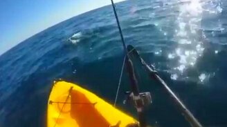 Рыбак против акулы - смотреть видео (4:36)