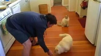 Прокати меня по полу! - смотреть видео (1:09)