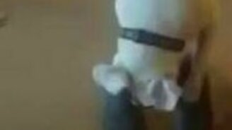 Собака тестирует домашние тапочки - смотреть видео (0:19)