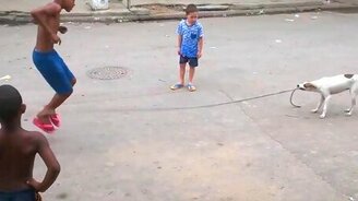 Щенок развлекает детей со скакалкой - смотреть видео (0:21)