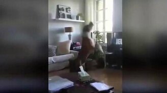 Пёс против вертолётика - смотреть видео (0:15)